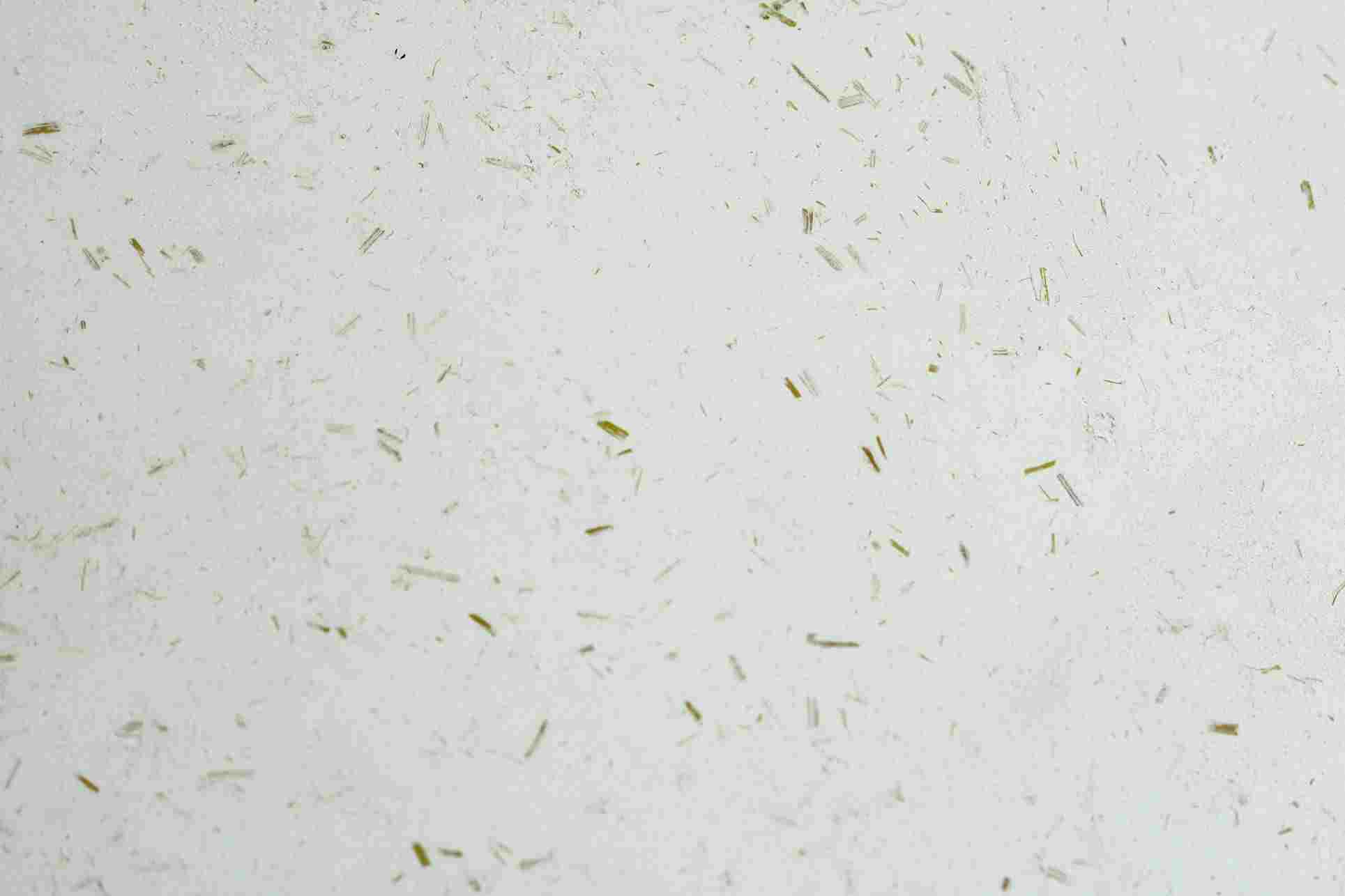 Gerstenstroh Häcksel